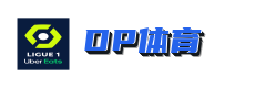 DP体育